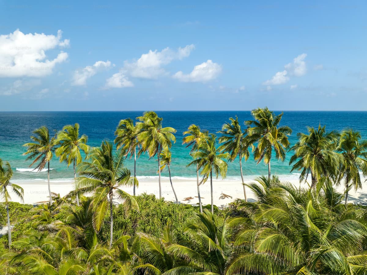 Paysage de Guadeloupe